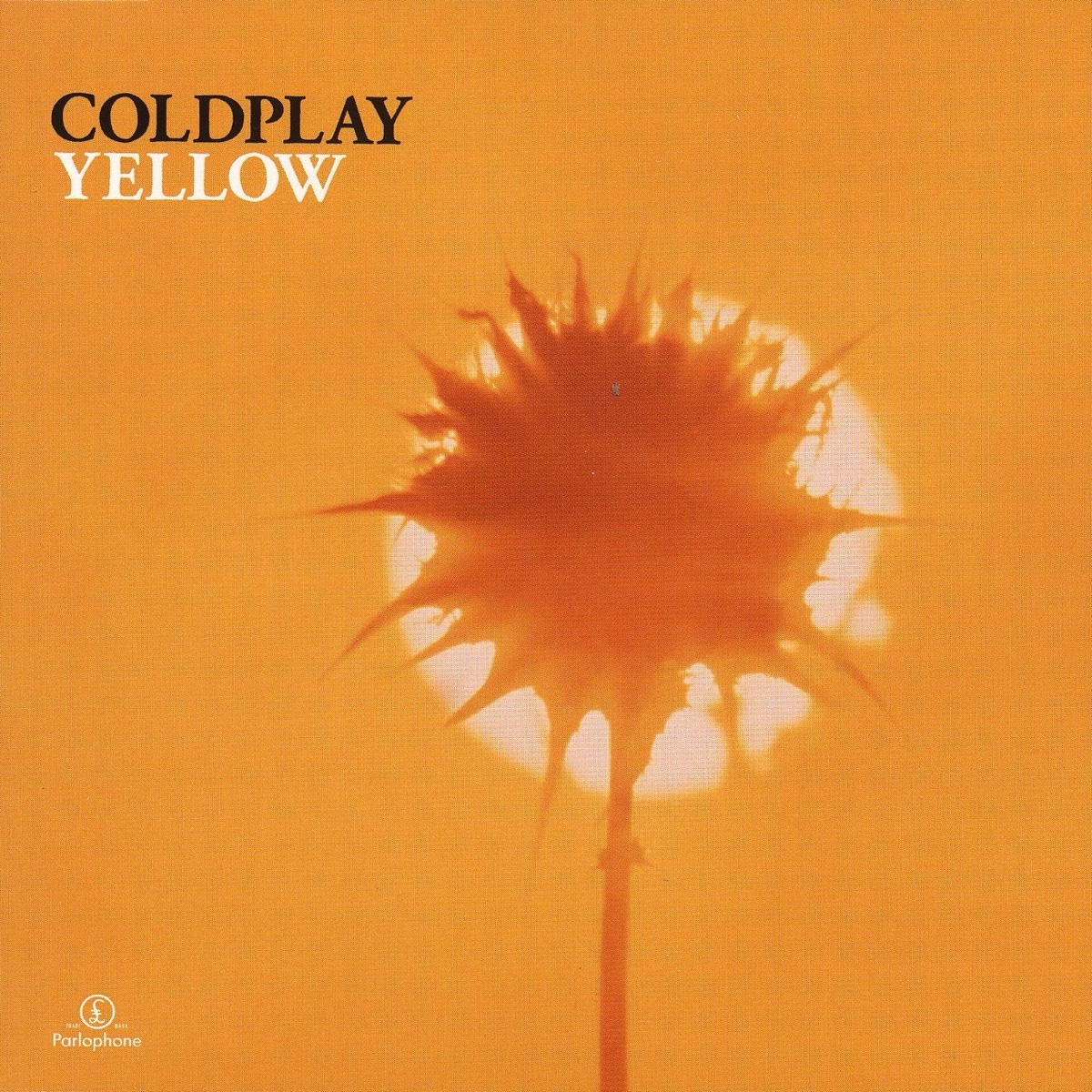 Coldplay《Yellow》封面